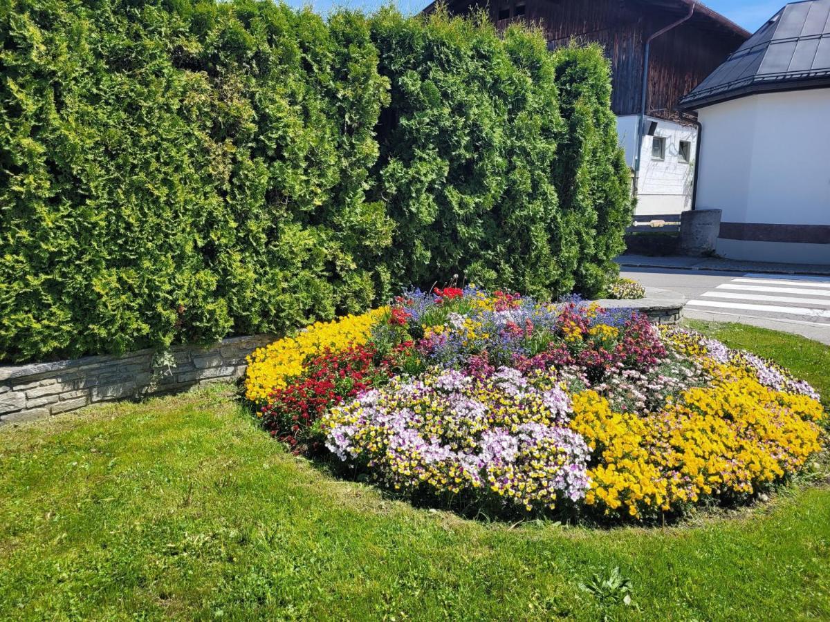 Ferienwohnung Schatz Breitenwang Dış mekan fotoğraf