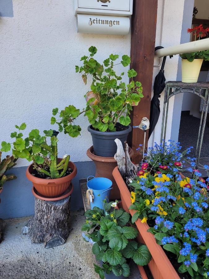 Ferienwohnung Schatz Breitenwang Dış mekan fotoğraf